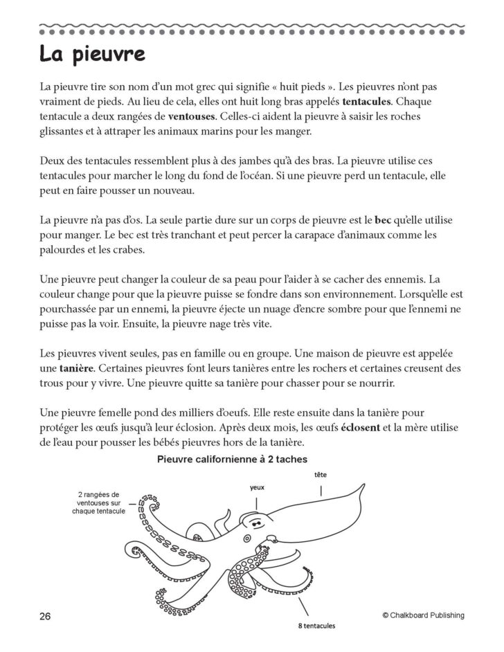Free Printable French Reading Comprehension Worksheets