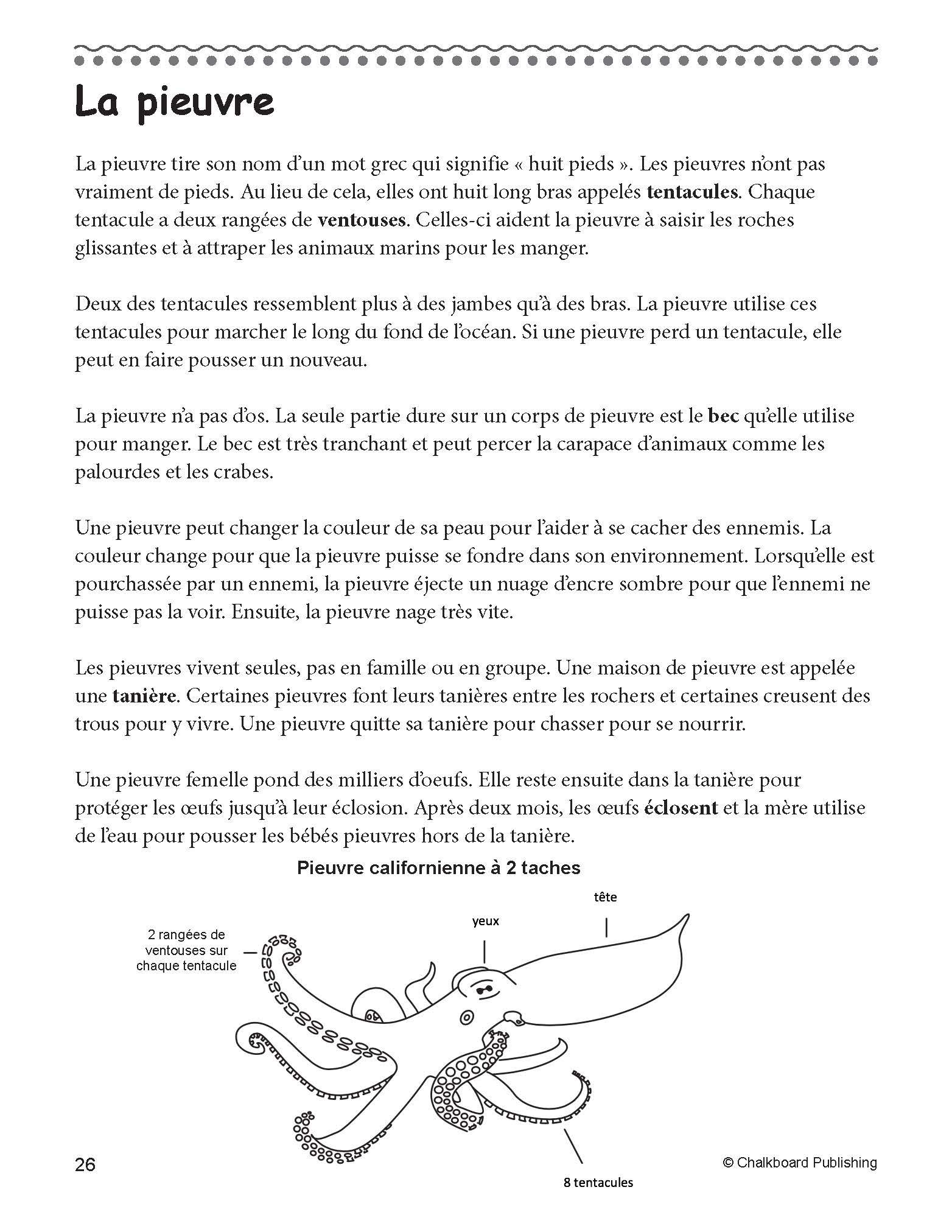 Canadian French Daily Reading Comprehension Grade 3 - Ebook within Free Printable French Reading Comprehension Worksheets
