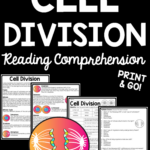 Cell Division   Bio Cell Divsion   Reading Comprehension Cell Pertaining To Cell Division Reading Comprehension Worksheet