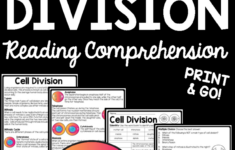 Cell Division - Bio Cell Divsion - Reading Comprehension Cell pertaining to Cell Division Reading Comprehension Worksheet