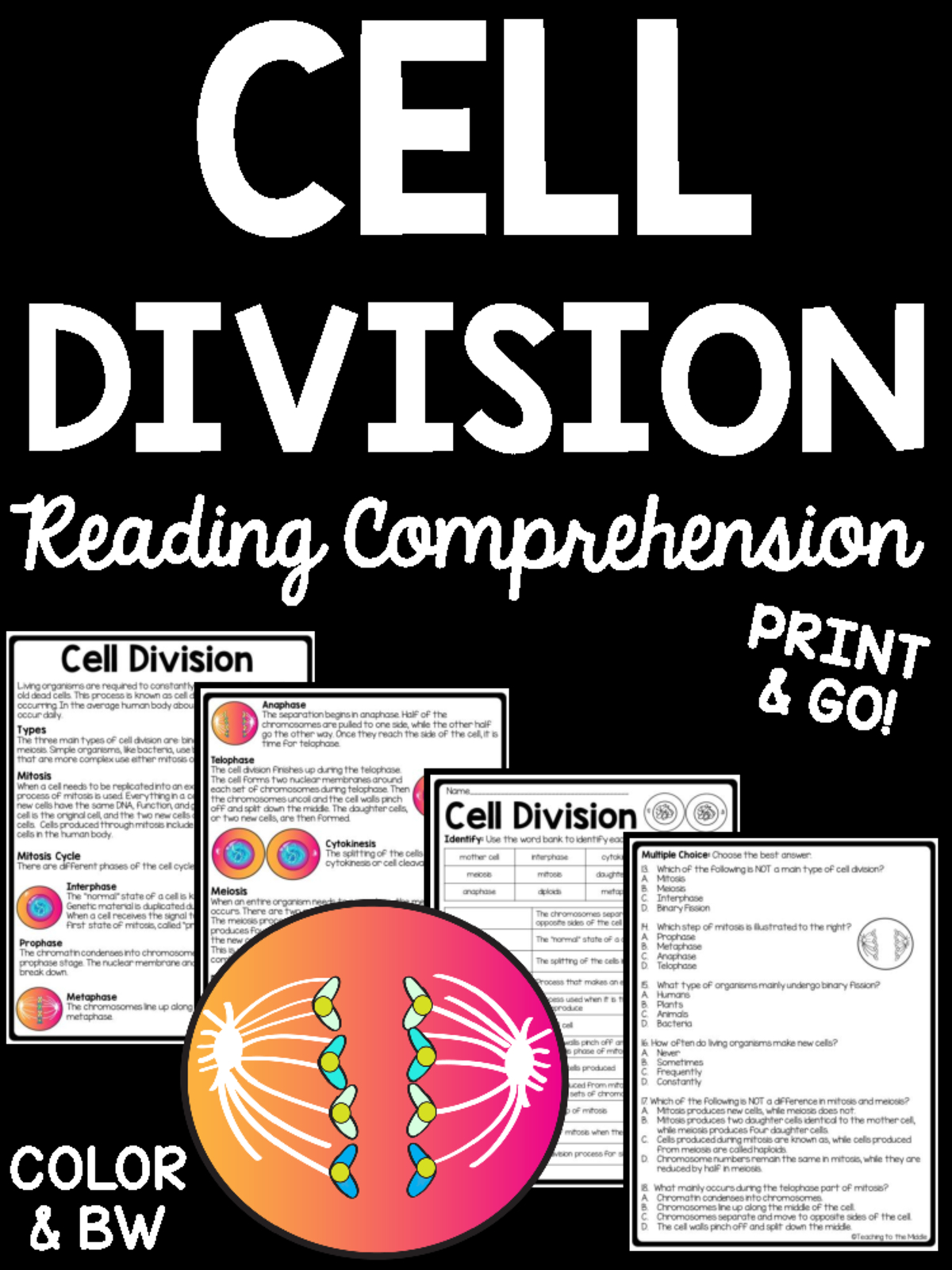Cell Division - Bio Cell Divsion - Reading Comprehension Cell pertaining to Cell Division Reading Comprehension Worksheet