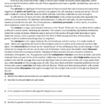Cell Structure & Function Worksheet: Organelles With Regard To Cell Organelles Reading Comprehension Worksheets