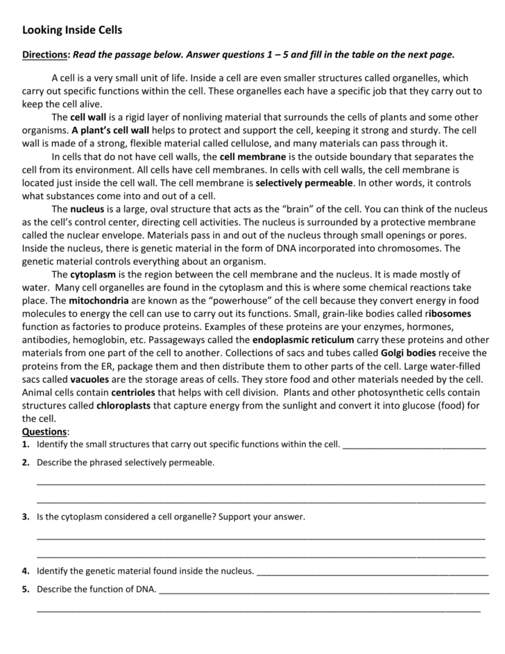 Cell Organelles Reading Comprehension Worksheets Cell Organelles Reading Comprehension Worksheets