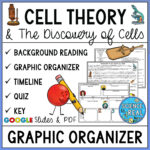 Cell Theory Graphic Organizer With Reading Comprehension And Quiz Within Cell Theory Reading Comprehension Worksheet