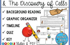 Cell Theory Graphic Organizer With Reading Comprehension And Quiz within Cell Theory Reading Comprehension Worksheet