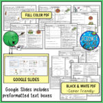 Cells Reading Comprehension   Cell Theory, Types Of Cells, And In Cell Reading Comprehension Worksheets