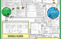 Cells Reading Comprehension - Cell Theory, Types Of Cells, And within Cell Theory Reading Comprehension Worksheet