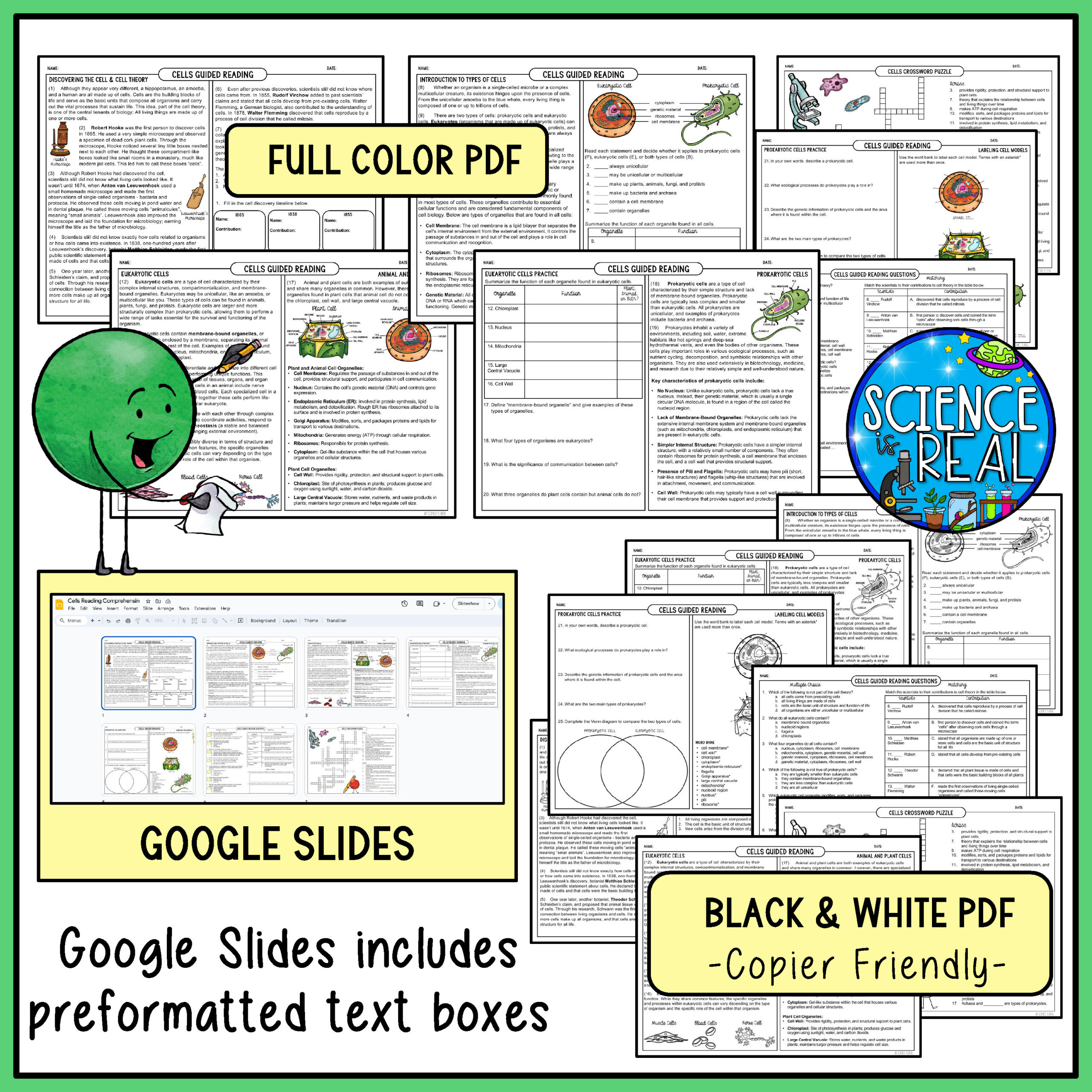 Cells Reading Comprehension - Cell Theory, Types Of Cells, And within Cell Theory Reading Comprehension Worksheet