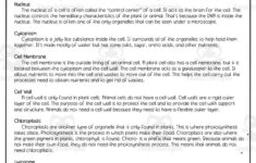 Cells + Their Organelles Reading Activity for Cell Reading Comprehension Worksheets