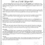 Cells + Their Organelles Reading Activity In Cell Organelles Reading Comprehension Worksheets
