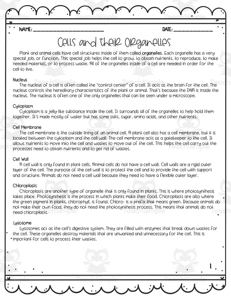 Cells + Their Organelles Reading Activity in Cell Organelles Reading Comprehension Worksheets