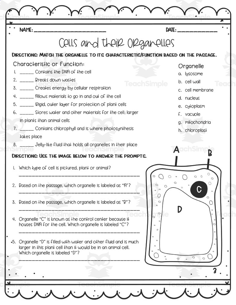 Cells + Their Organelles Reading Activity within Plant Cells Reading Comprehension Worksheet