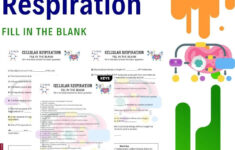 Cellular Respiration Worksheet With Word Box | Grades 6-12 throughout Cellular Respiration Reading Comprehension Worksheet