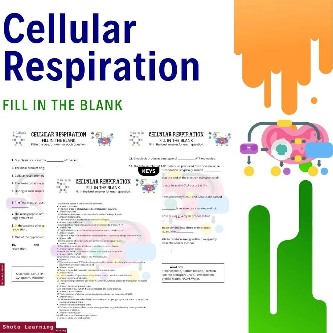 Cellular Respiration Worksheet With Word Box | Grades 6-12 throughout Cellular Respiration Reading Comprehension Worksheet
