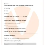 Class 2 Reading Comprehension Worksheet: Race Car Story Pdf With Regard To Race Car Reading Comprehension Worksheet
