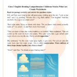 Class 3 Reading Comprehension Worksheet: What Are Clouds? Inside Clouds Reading Comprehension Worksheet
