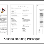 Cold War Arms Race Reading Comprehension And Word Search Intended For Cold War Reading Comprehension Worksheet