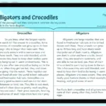 Compare And Contrast Crocodiles & Alligators Worksheet | Rf.2.4,Rf With Comparison Reading Comprehension Worksheets