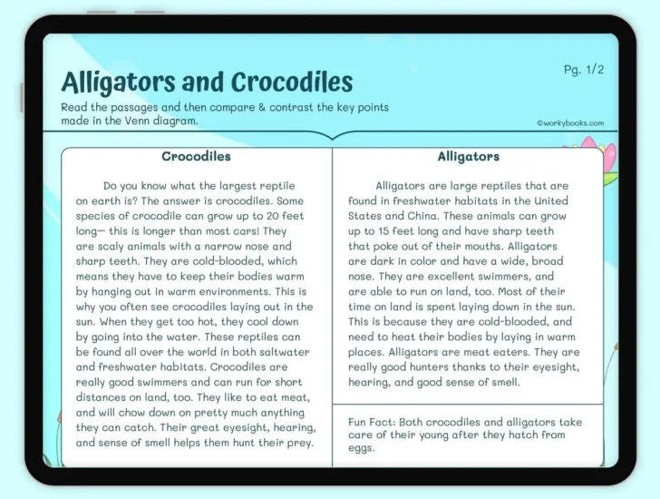 Comparison Reading Comprehension Worksheets