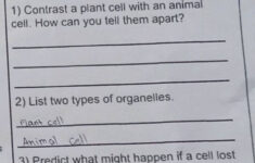 Cross-Curricular Reading Comprehension | Studyx inside Cross Curricular Reading Comprehension Worksheets D 2 Of 36