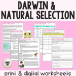 Darwin Natural Selection & Evolution   Guided Reading Worksheet Regarding Evolution Reading Comprehension Worksheets
