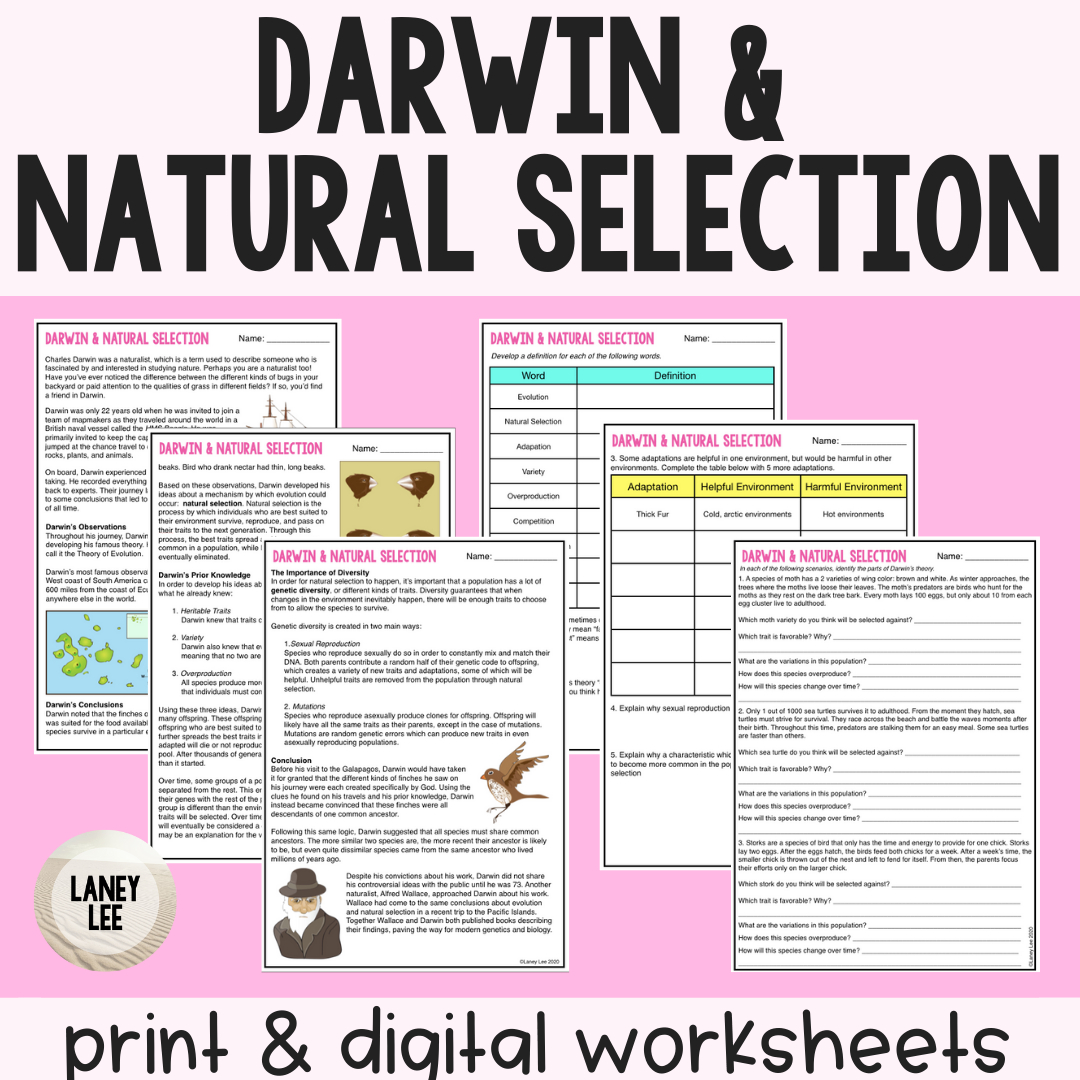 Darwin Natural Selection &amp;amp; Evolution - Guided Reading Worksheet regarding Evolution Reading Comprehension Worksheets