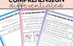 Differentiated French Reading Passages For Back To School | French in French Reading Comprehension Worksheets