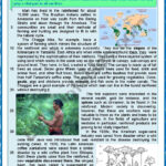 Disappearing Rainforest. Reading + Varied Comprehension Ex + Key With Regard To Rainforest Reading Comprehension Worksheets