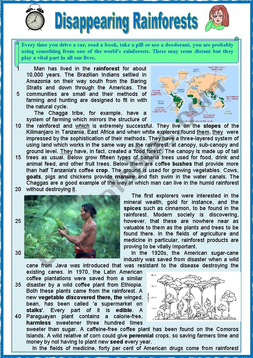 Disappearing Rainforest. Reading + Varied Comprehension Ex + Key with regard to Rainforest Reading Comprehension Worksheets