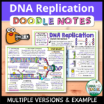 Dna Replication Doodle Notes   Emmatheteachie Intended For Dna Replication Reading Comprehension Worksheet