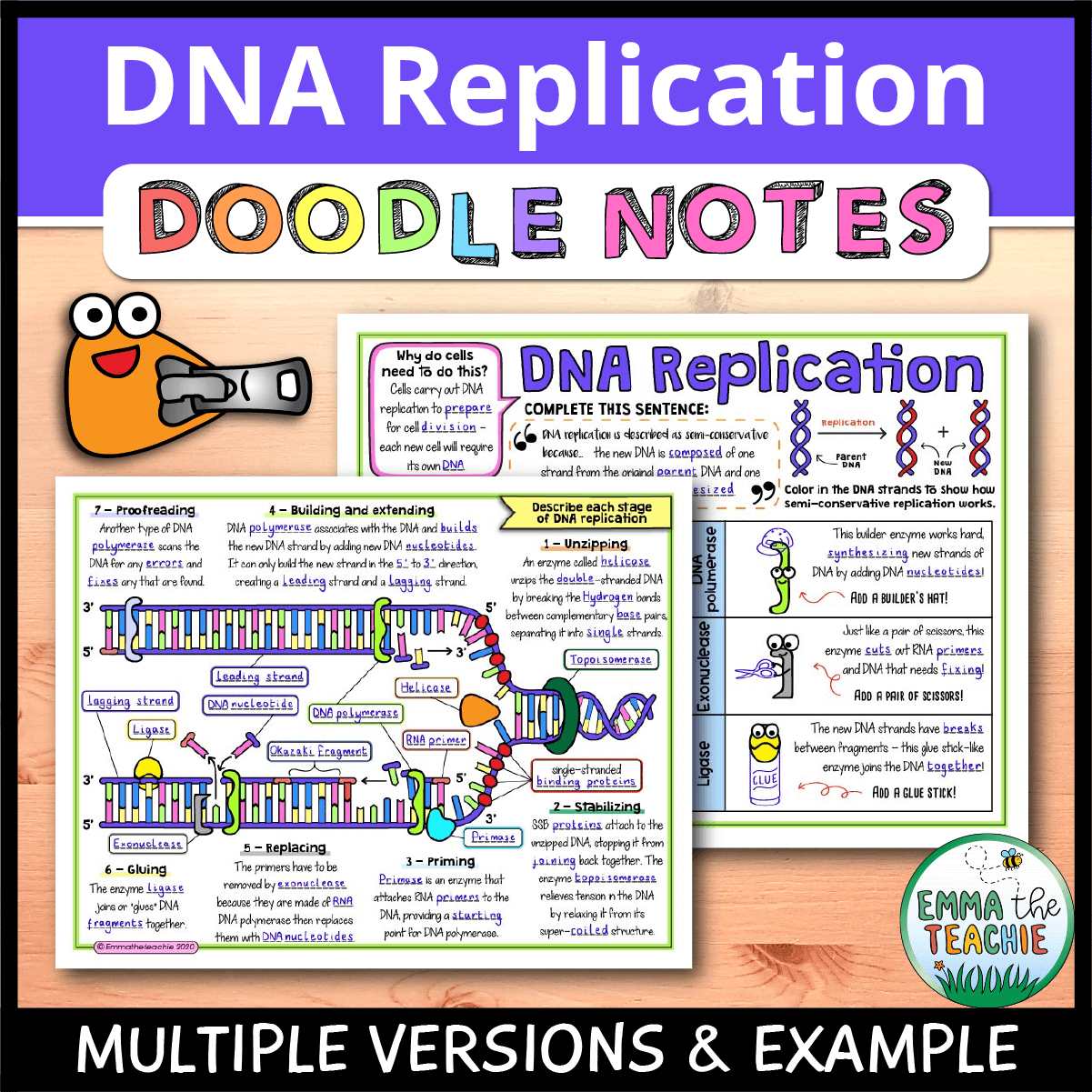 Dna Replication Doodle Notes - Emmatheteachie intended for Dna Replication Reading Comprehension Worksheet