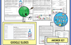 Dna Replication Reading Comprehension - Classful throughout Dna Replication Reading Comprehension Worksheet