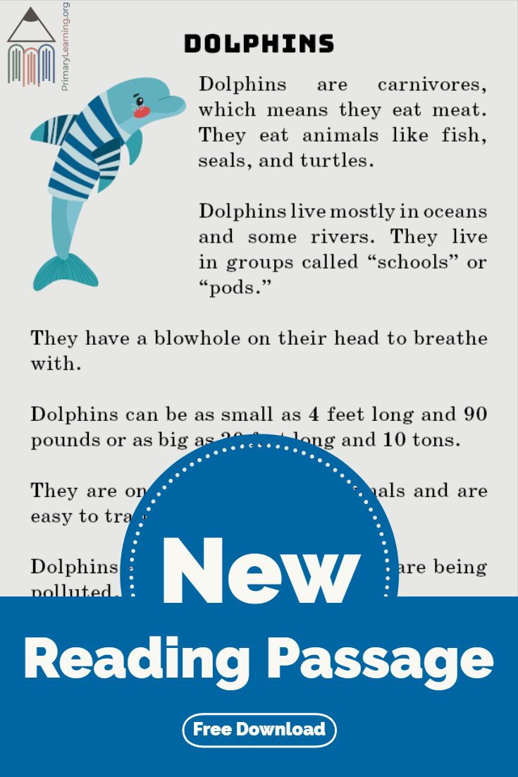 Dolphin Reading Passage for Dolphin Reading Comprehension Worksheets