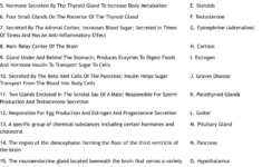 Endocrine System Worksheet - Wordmint pertaining to Endocrine System Reading Comprehension Worksheet