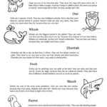 English Reading Practice About Anima…: English Esl Worksheets Pdf In Animal Reading Worksheets