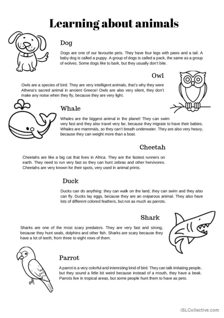 English Reading Practice About Anima…: English Esl Worksheets Pdf in Animal Reading Worksheets