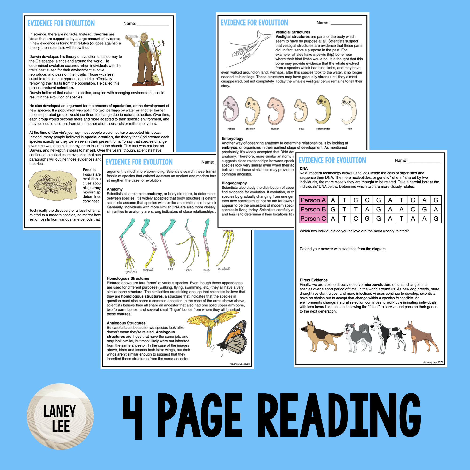 Evidence For Evolution - Reading Comprehension Worksheets with Evolution Reading Comprehension Worksheets