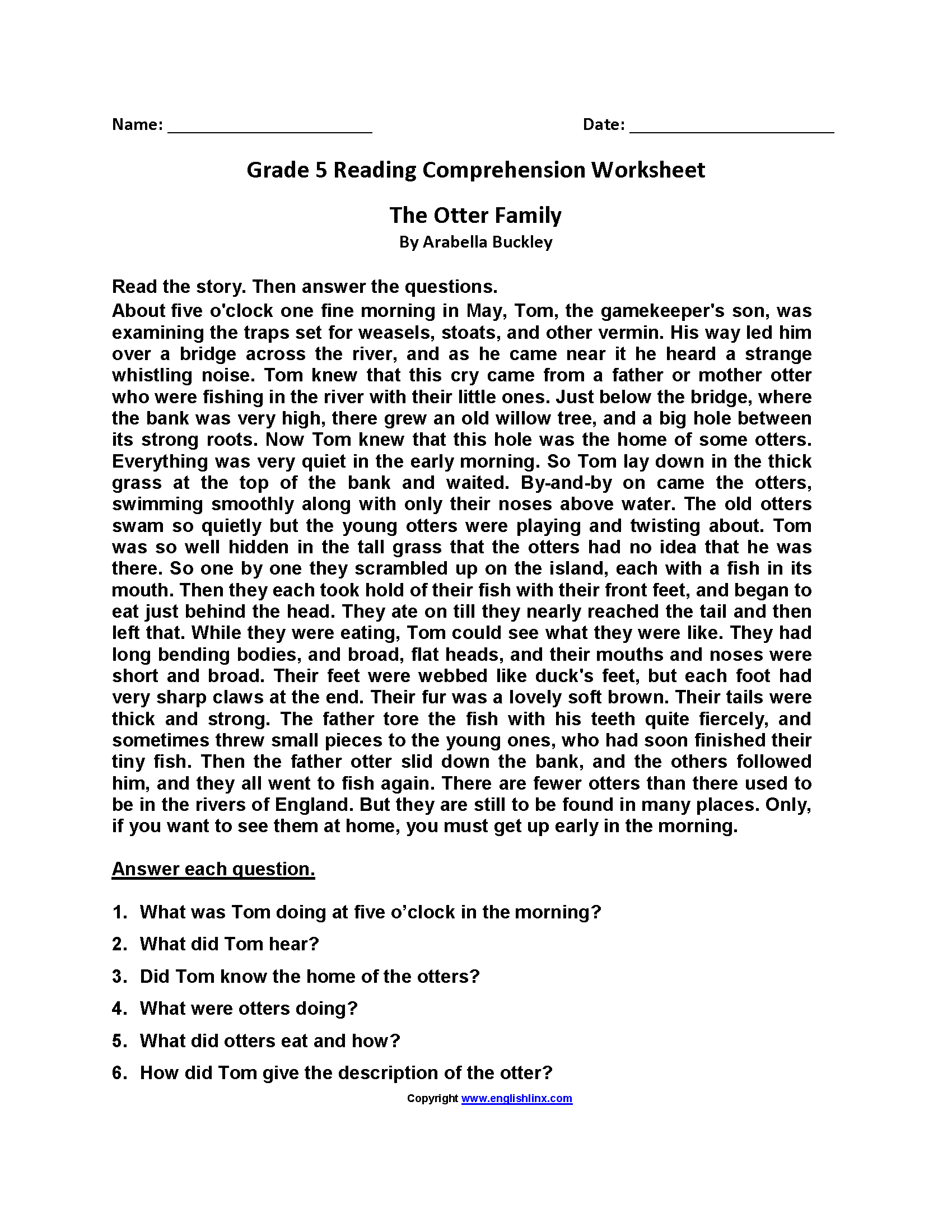Fifth Grade Reading Worksheets | Improve Fluency &amp;amp; Vocabulary with Year 5 Comprehension Worksheets