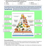Food Pyramid: English Esl Worksheets Pdf & Doc With Regard To Healthy Food Pyramid Reading Comprehension Worksheets
