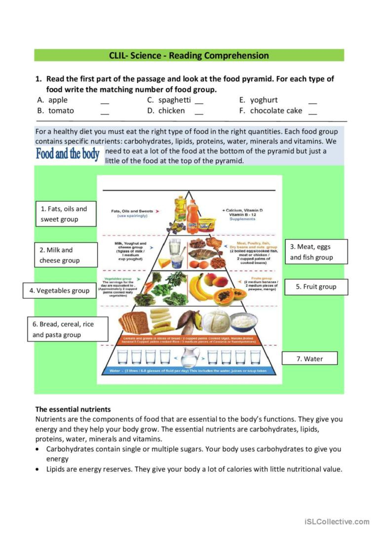 Food Pyramid: English Esl Worksheets Pdf &amp;amp; Doc with regard to Healthy Food Pyramid Reading Comprehension Worksheets
