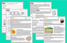 Fossils - Reading Comprehension Worksheets - Laney Lee in Fossil Reading Comprehension Worksheets For Kids
