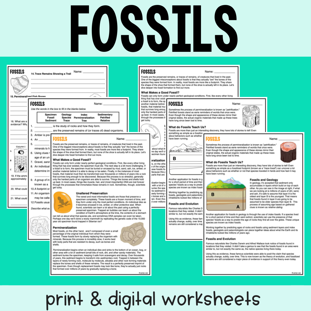Fossils - Reading Comprehension Worksheets - Laney Lee regarding Fossil Reading Comprehension Worksheets
