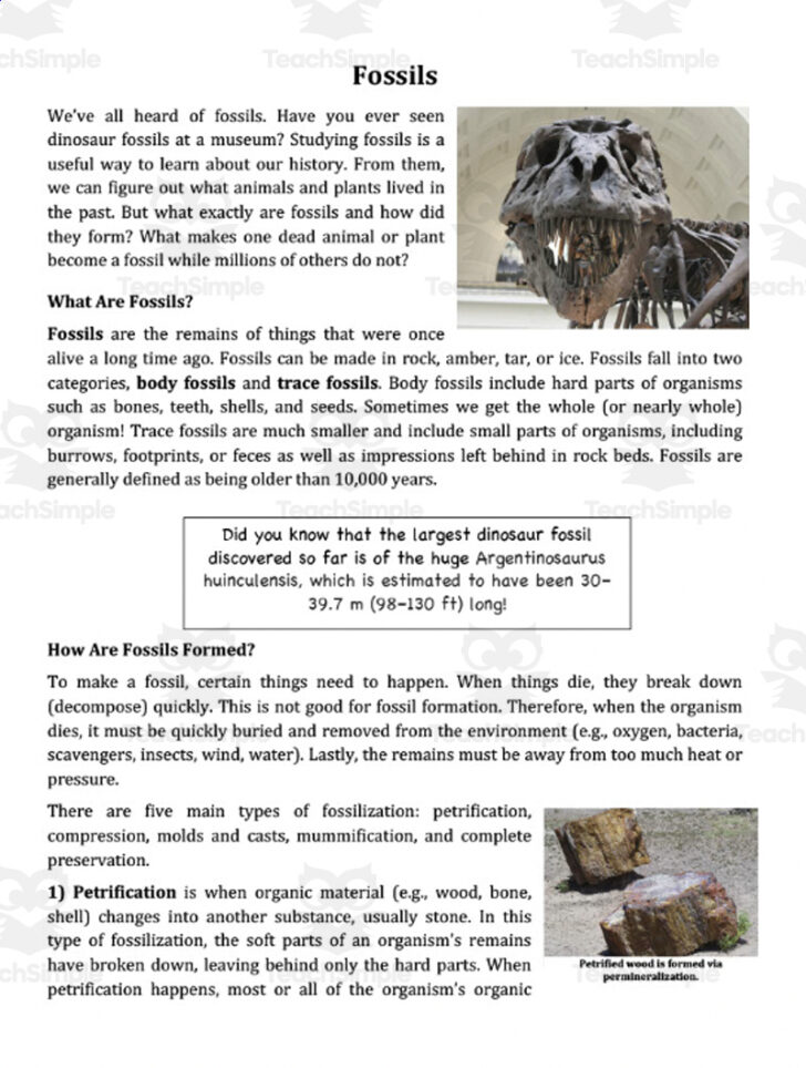 Fossil Reading Comprehension Worksheets For Kids