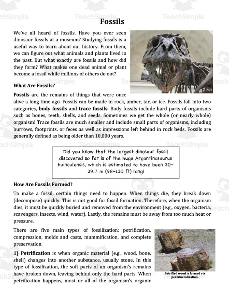 Fossils - Scientific Reading Comprehension Article – Grades 5-7 throughout Fossil Reading Comprehension Worksheets
