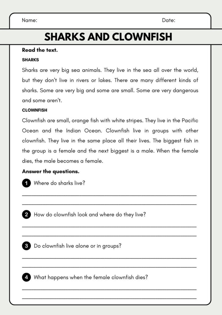 Reading Comprehension Worksheet For Third Grade