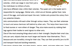 Free Printable Reading Comprehension Worksheets in High School Reading Comprehension Worksheets
