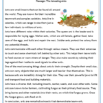 Free Printable Reading Comprehension Worksheets Intended For Free Printable Reading Comprehension Worksheets For 5th Grade