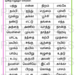 Free Tamil Learning Worksheets Pdf For Toddlers And Preschoolers! Inside Tamil Worksheets With Answers Comprehension
