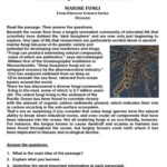 Grade 8 Reading Comprehension Worksheet Marine Fungi From Discover With 8Th Grade Reading Comprehension Worksheet