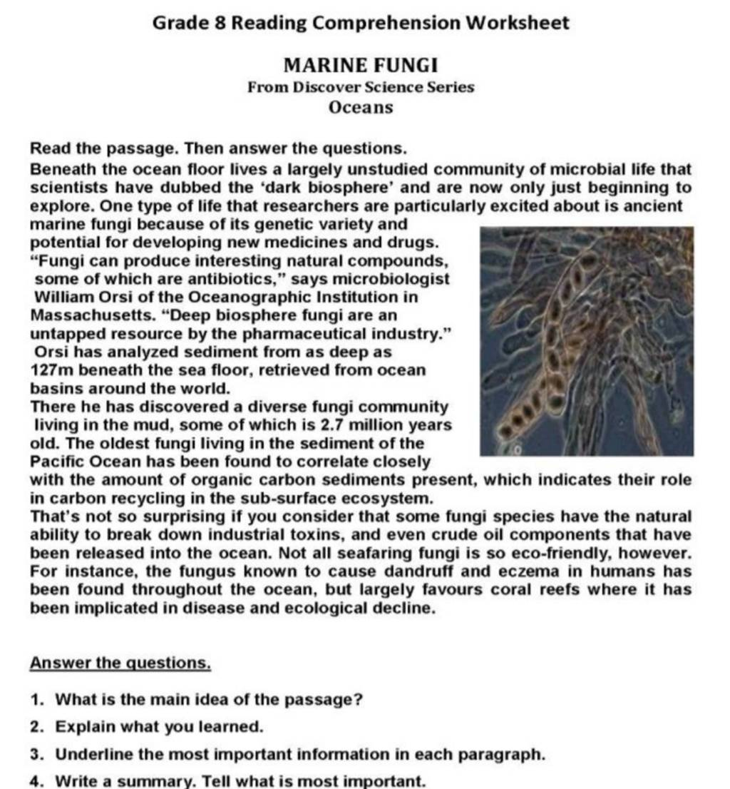 Grade 8 Reading Comprehension Worksheet Marine Fungi From Discover with 8Th Grade Reading Comprehension Worksheet